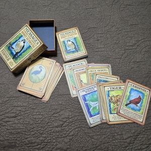 Messages From Yr Animal Spirit Guides Oracle Cards box set and guidebook
